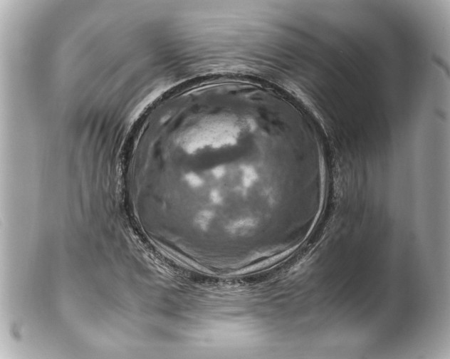 X0000099530975200805301436