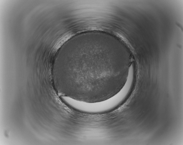 X0000099530977200805301436