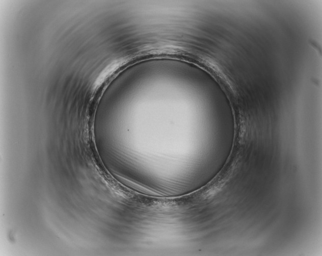 X0000099530978200805301436