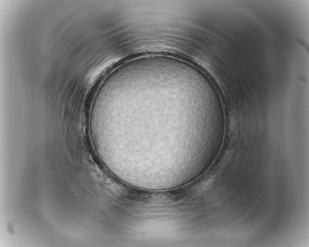 X0000099530979200805301436