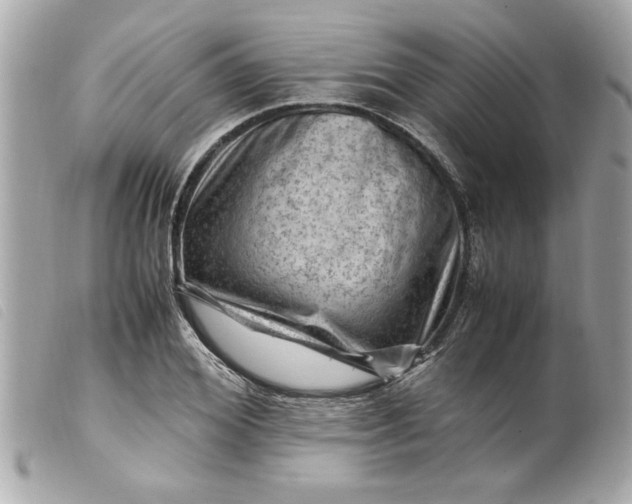 X0000099530980200805301436