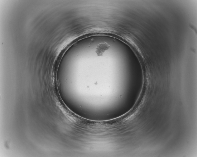 X0000099530981200805301436