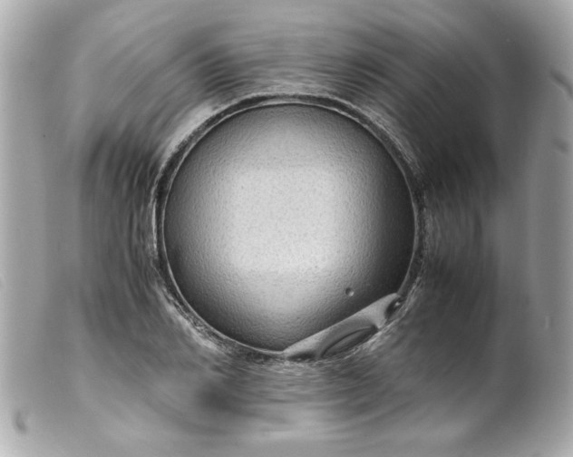 X0000099530982200805301436