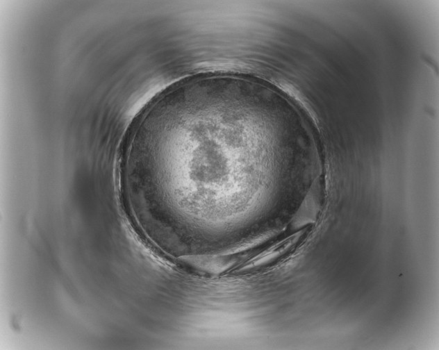 X0000099530983200805301436