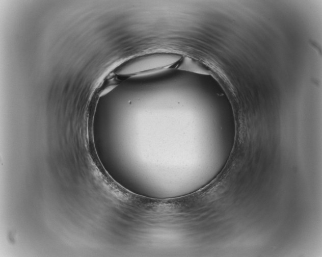 X0000099530984200805301436