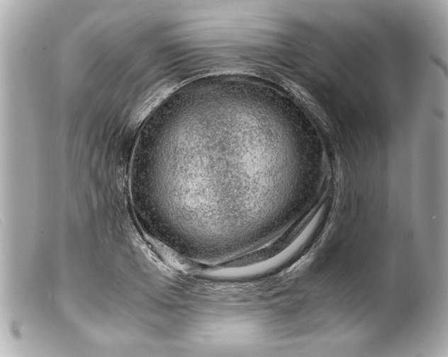 X0000099530985200805301436