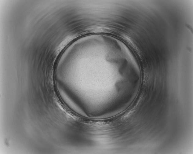 X0000099530986200805301436