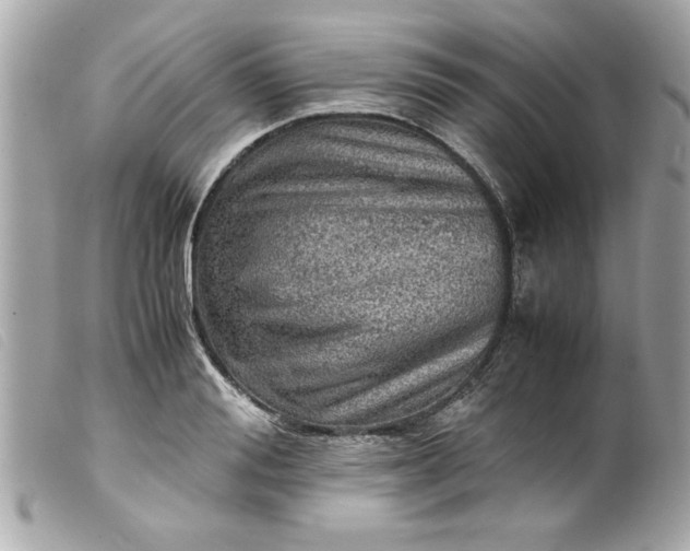 X0000099530988200805301436