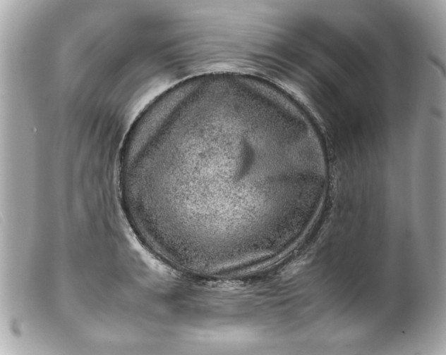 X0000099530991200805301436