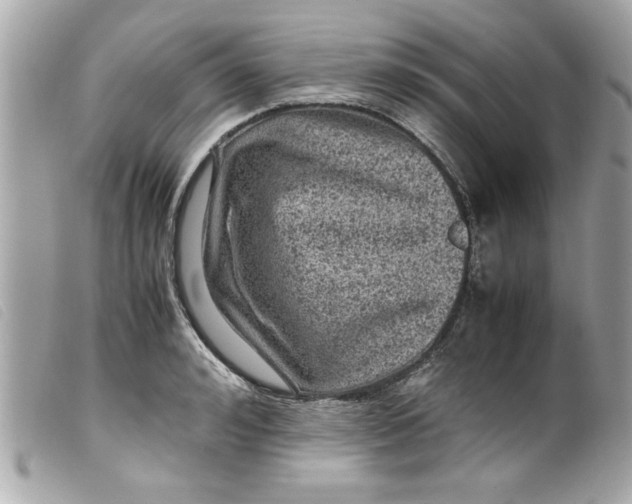 X0000099530992200805301436