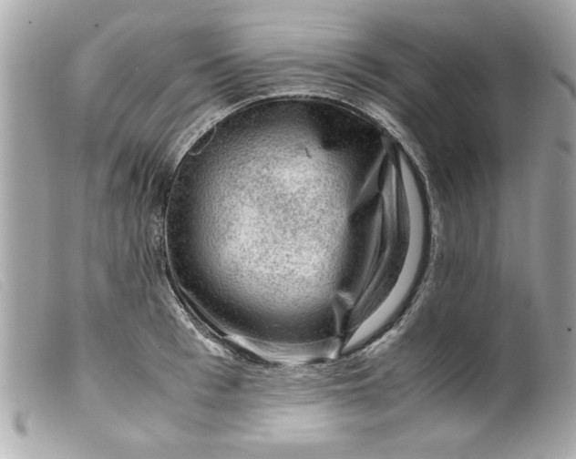 X0000099530993200805301436