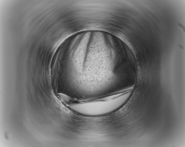 X0000099530996200805301436