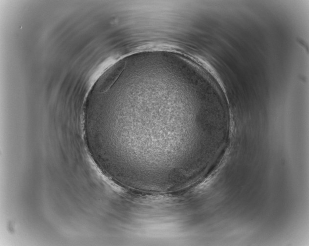 X0000099530997200805301436