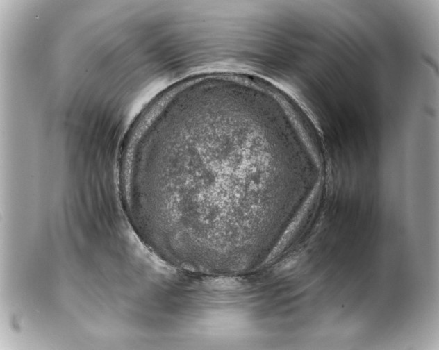 X0000099530998200805301436