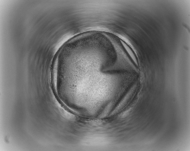 X0000099530999200805301436