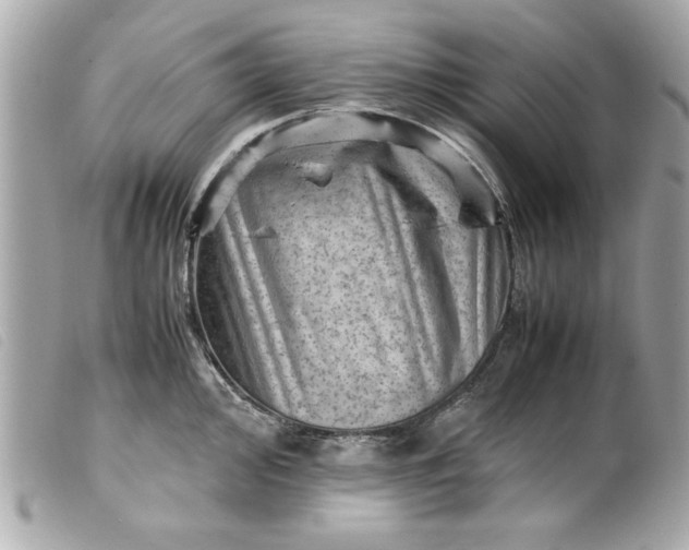 X0000099531000200805301436