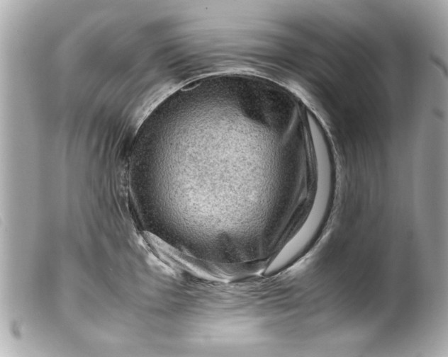 X0000099531001200805301436