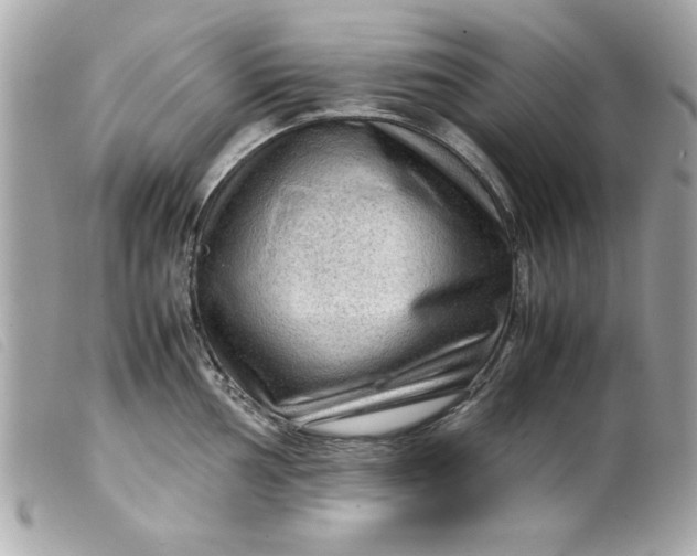 X0000099531002200805301436