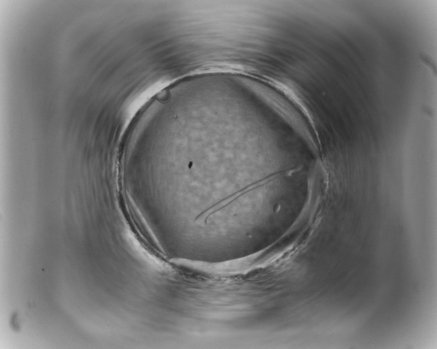 X0000099531003200805301436