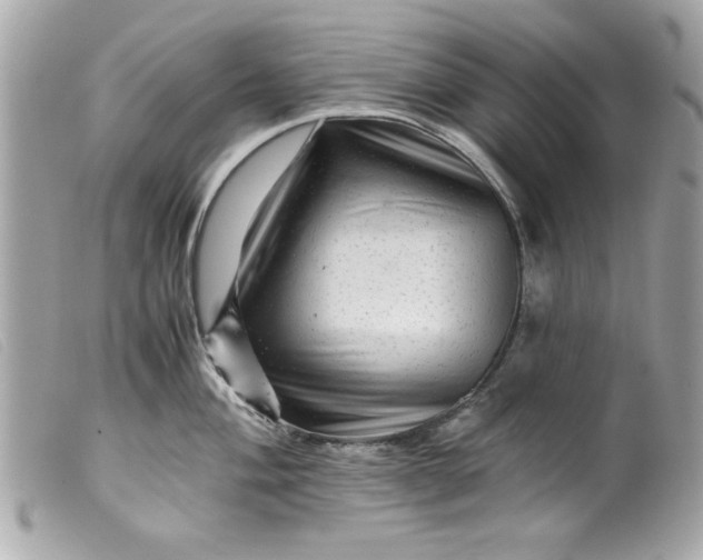 X0000099531004200805301436