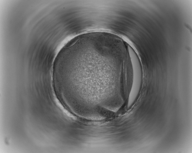 X0000099531005200805301436