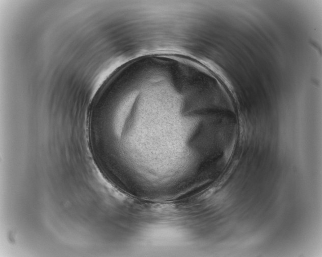 X0000099531006200805301436