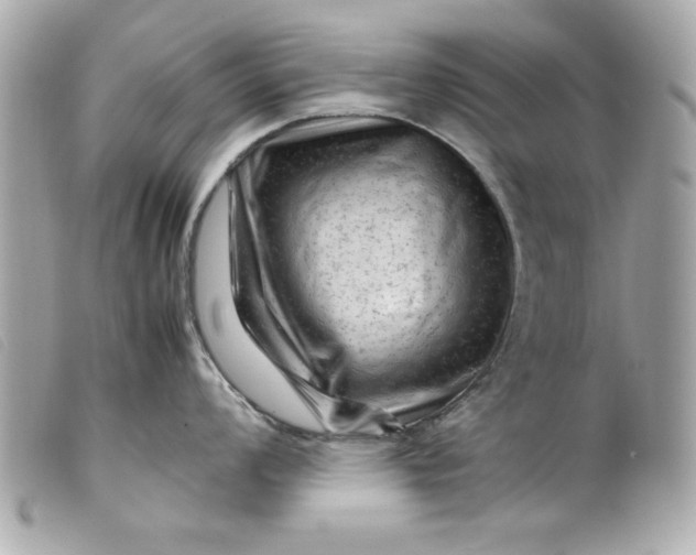 X0000099531008200805301436