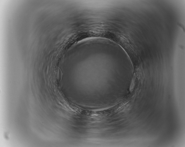 X0000099531009200805301435