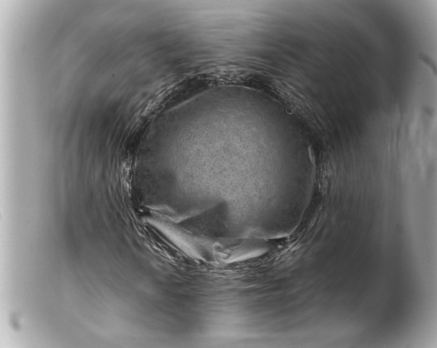 X0000099531010200805301435