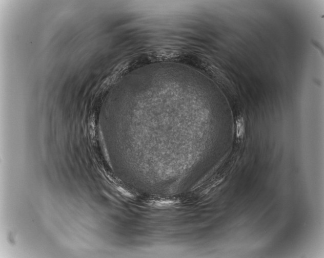 X0000099531011200805301435