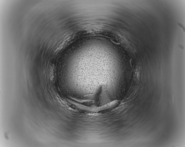 X0000099531012200805301435