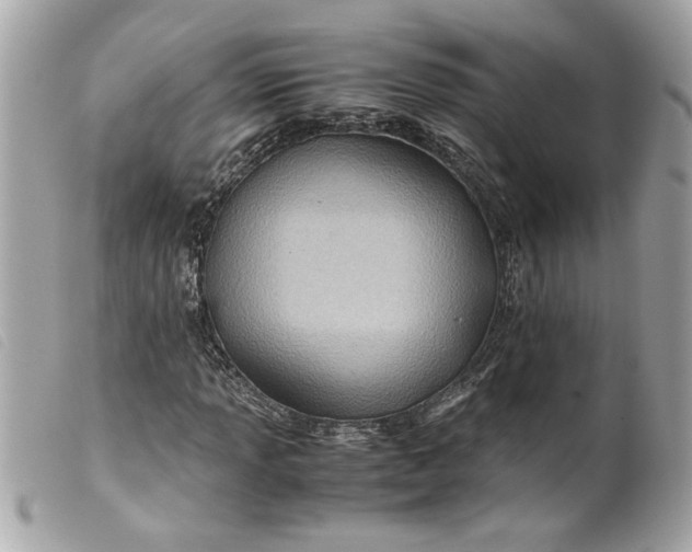 X0000099531013200805301435