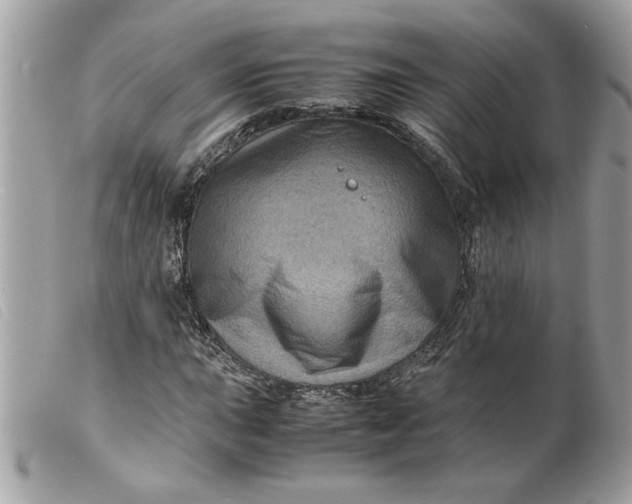 X0000099531015200805301435