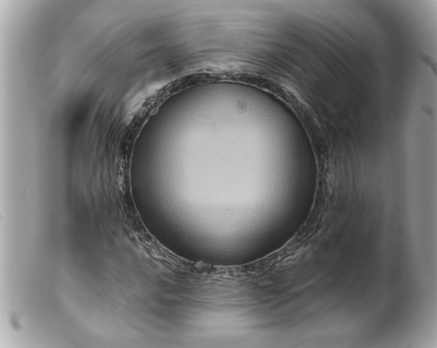 X0000099531016200805301435