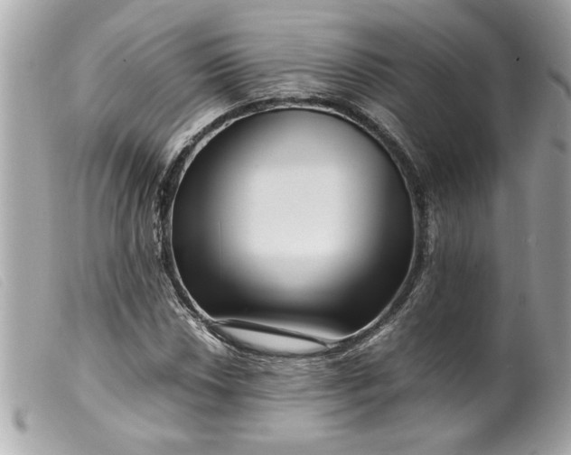 X0000099531018200805301435