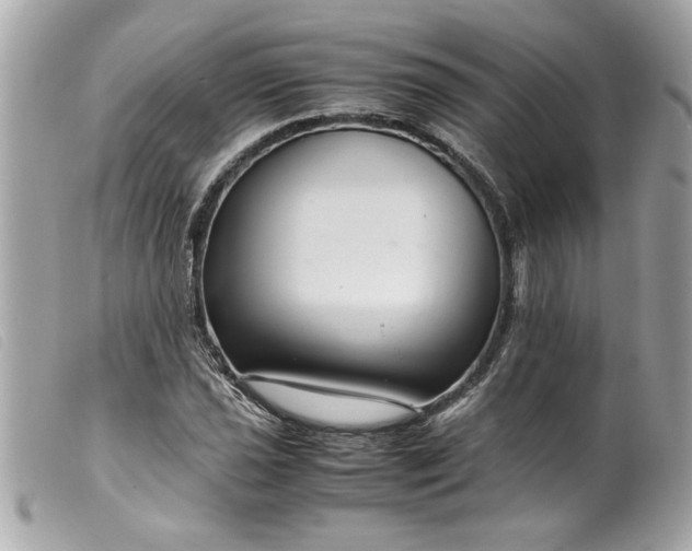 X0000099531021200805301435