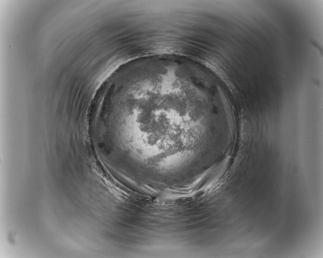 X0000099531023200805301435