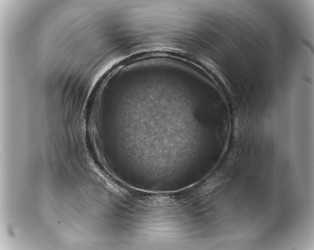 X0000099531024200805301435