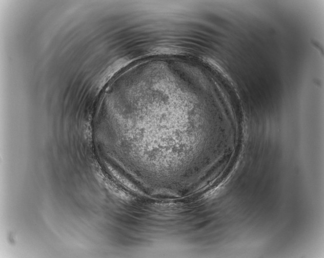 X0000099531025200805301435