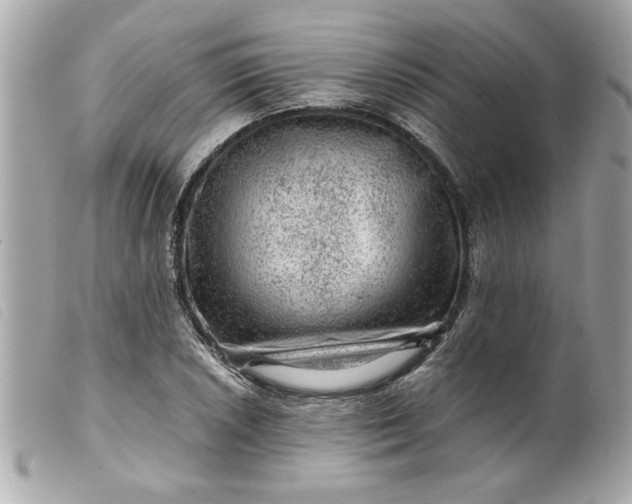 X0000099531026200805301435