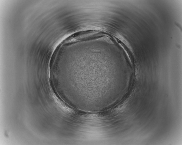 X0000099531028200805301435