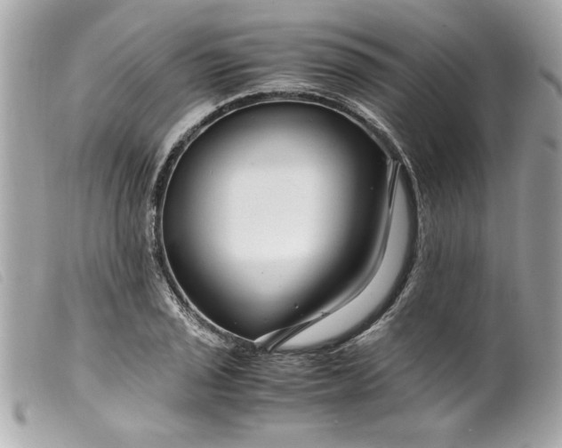 X0000099531029200805301435