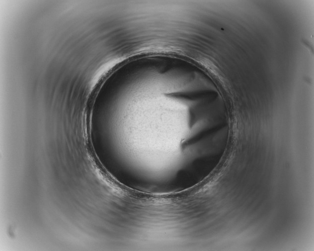 X0000099531030200805301435