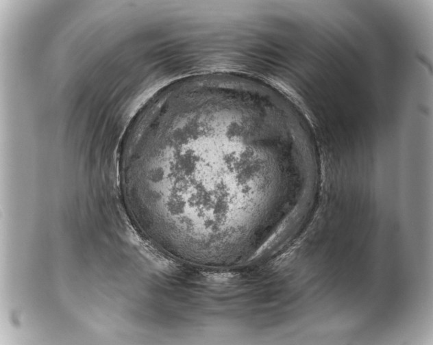 X0000099531031200805301435