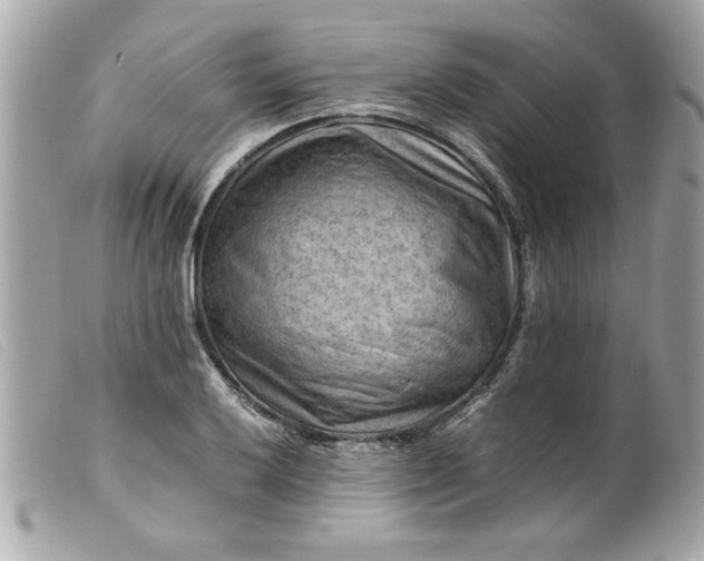 X0000099531032200805301435