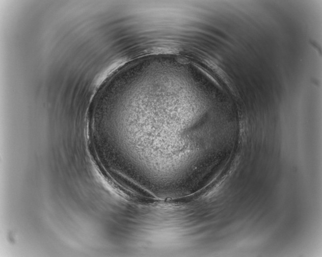 X0000099531034200805301435