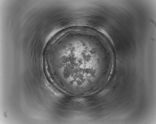 X0000099531035200805301435