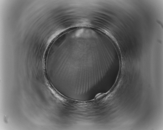 X0000099531037200805301435