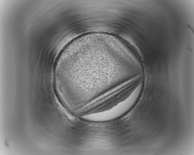 X0000099531040200805301436