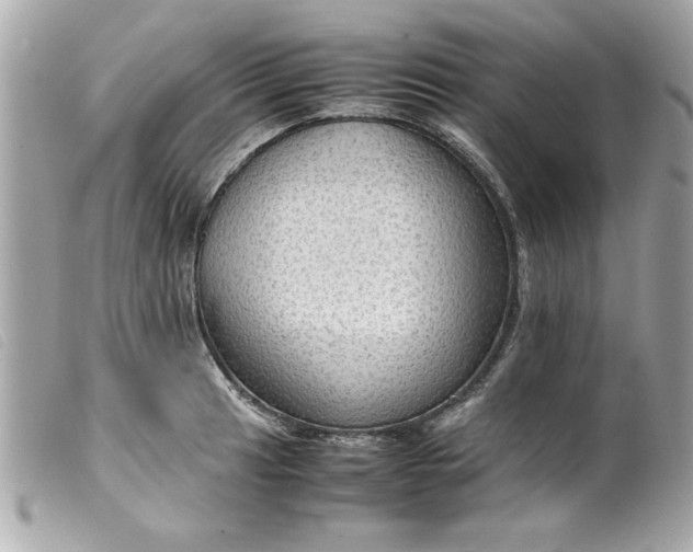 X0000099531041200805301436